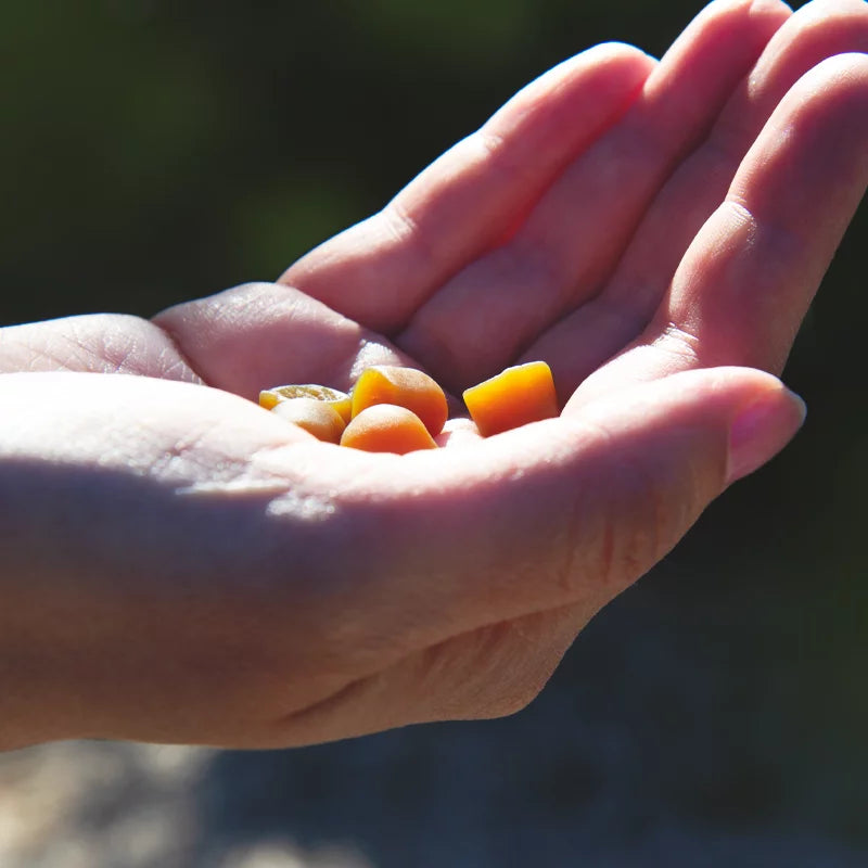 Gomme propolis, miel orange