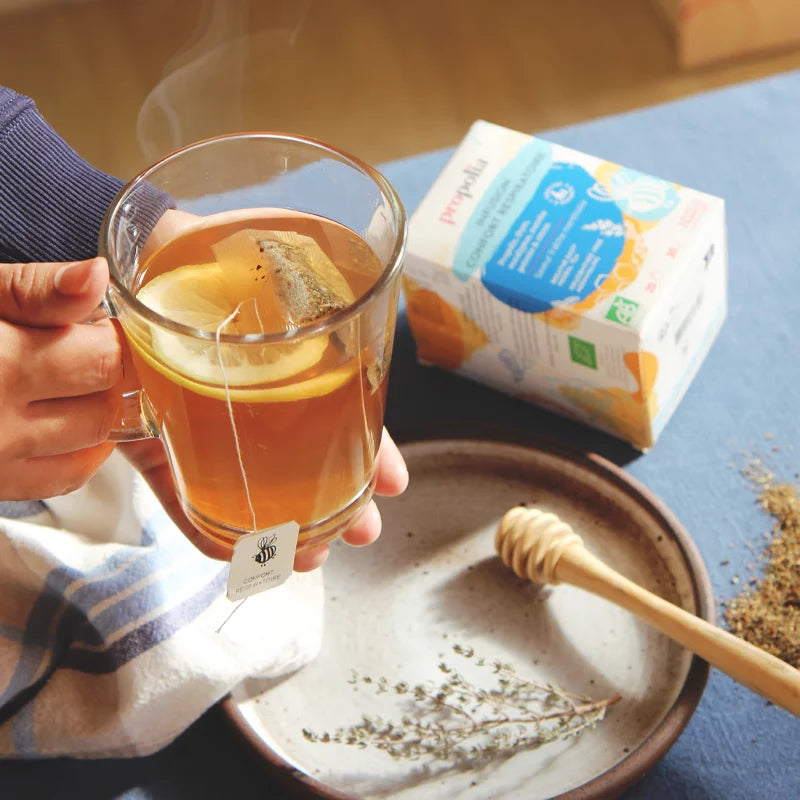 Infusion Confort respiratoire Bio Propolis & Plantes