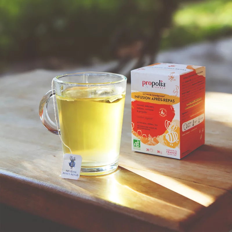 Infusion après-repas Bio Propolis & Plantes